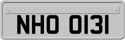 NHO0131
