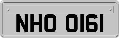 NHO0161