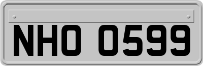 NHO0599