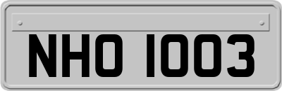 NHO1003