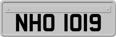 NHO1019