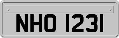 NHO1231
