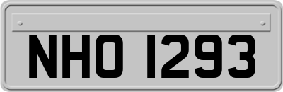 NHO1293