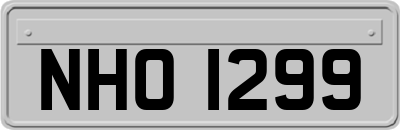 NHO1299