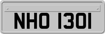 NHO1301