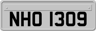 NHO1309