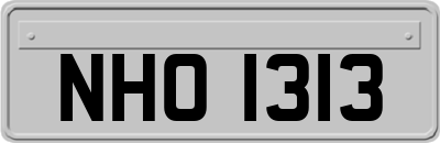 NHO1313