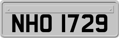 NHO1729