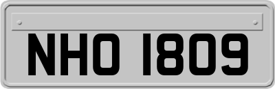 NHO1809