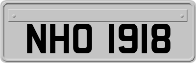 NHO1918