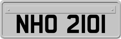 NHO2101