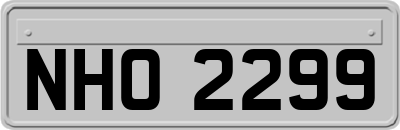 NHO2299
