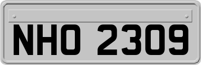 NHO2309