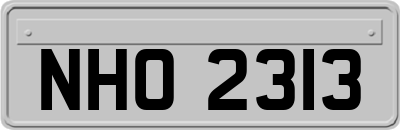 NHO2313