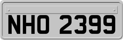 NHO2399