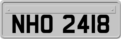 NHO2418