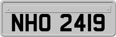NHO2419