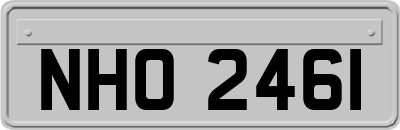 NHO2461