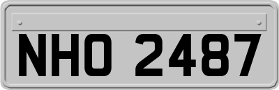 NHO2487