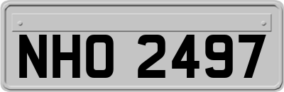 NHO2497