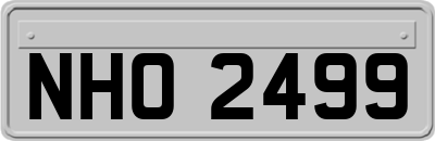 NHO2499