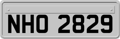 NHO2829