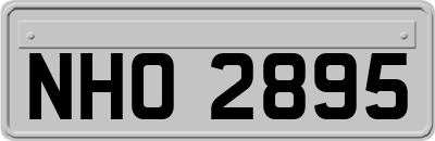 NHO2895