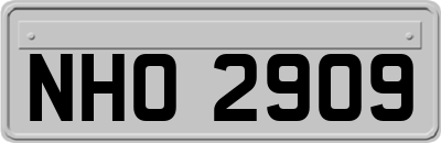 NHO2909