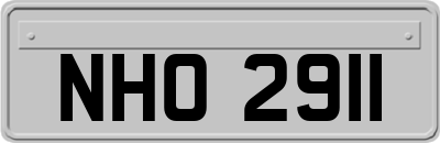 NHO2911