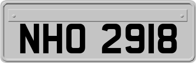 NHO2918