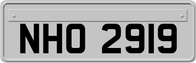 NHO2919