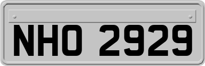 NHO2929