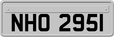 NHO2951