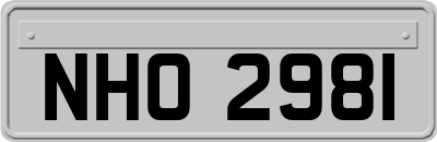 NHO2981