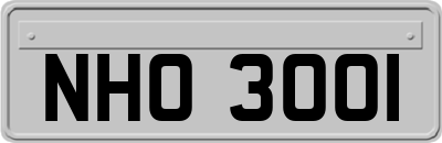 NHO3001