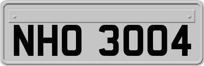 NHO3004
