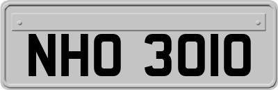 NHO3010