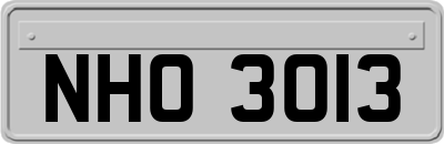 NHO3013