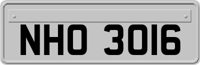 NHO3016
