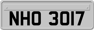 NHO3017
