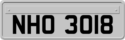 NHO3018
