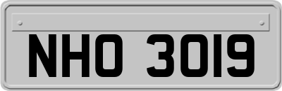 NHO3019