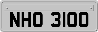 NHO3100