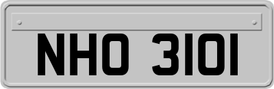 NHO3101