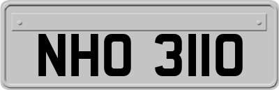 NHO3110