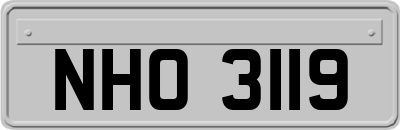 NHO3119