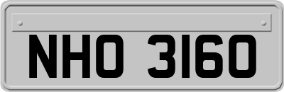 NHO3160