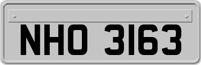 NHO3163
