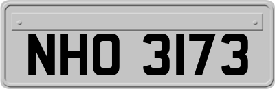 NHO3173