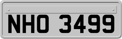 NHO3499
